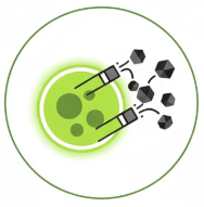 Chlorella "Heavy Metal Detox"