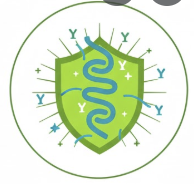 Spirulina "Immune Shield"