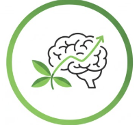 "The Smart Stimulant"