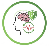 Ashwagandha: "The Cortisol Killer"