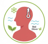 Red Clover Extract: "Hot Flash" Medicine