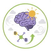 Vitamin B6 & B12 for Mood and Brain Fog