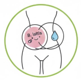 The "Vaginal Health" Hero: B. animalis lactis