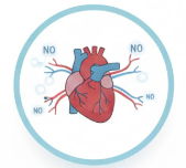 The "Performance & Flow"  L-Citrulline & Nitric Oxide