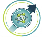 The "Cellular Defense" Hero: Quercetin & CD38 Inhibition