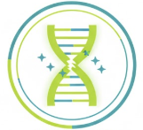 The "Longevity" Hero: NAD+ & Trans-Resveratrol Synergy